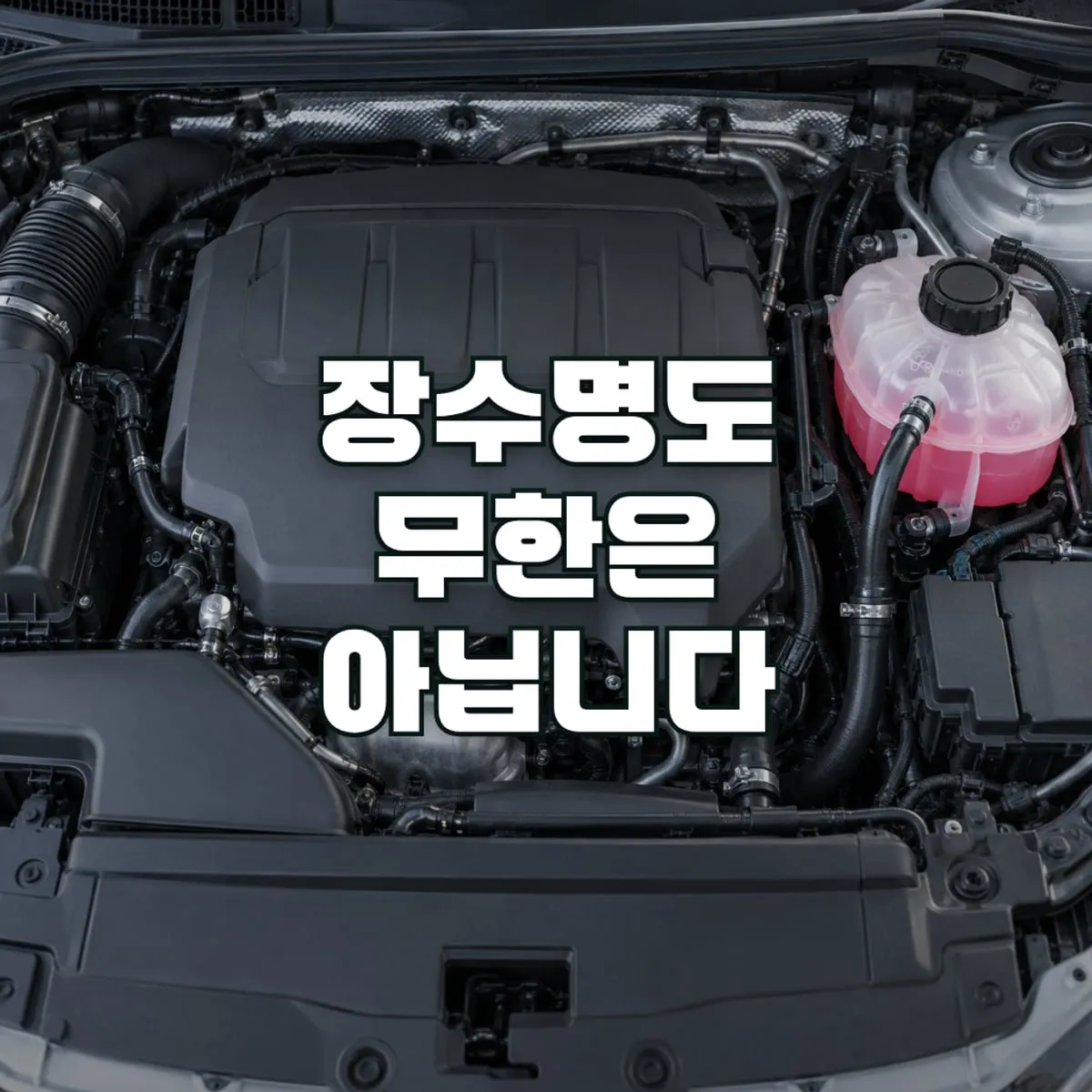 부동액 교체주기, 장수명 부동액도 무한은 아니다 표지